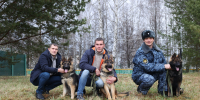 Три щенка из Пермского института ФСИН России пополнили поголовье УФСИН России по Самарской области - Пермский институт ФСИН России