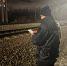 В Перми пассажирский поезд насмерть сбил женщину - V-Kurse.Ru