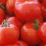 Полезно каждому дачнику: шесть сортов томатов с лучшим вкусом и урожайностью — выбирайте свои - Про Город Пермь