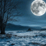 article22463.jpg - 59i.Ru