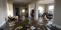потоп дома, вода, затопление - Новый Компаньон