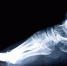 Фото: zirconicusso, Freepik - ПГТУ