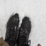 Синоптики сделали ошеломляющее заявление: с 6 декабря начнётся явление, которого не было 168 лет - Про Город Пермь