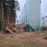 В пермских лесах завершили реновацию мест отдыха - Комсомольская Правда