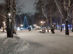 Сад Миндовского