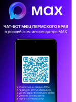 Чат-бот МФЦ в мессенджере MAX
