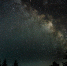Фото: wirestock, Freepik - ПГТУ