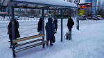 Синоптики предупредили о неприятных сюрпризах с 11 декабря: погодные изменения удивят даже экспертов