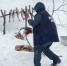 В Пермском зоопарке белых медведей поздравили с днём рождения - Вести-Пермь