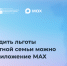 Льготы для многодетных семей теперь можно подтвердить в мессенджере MAX - Министерство информразвития и связи