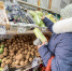 продукты - Новый Компаньон