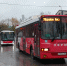 Автобус 78 и 77 - Новый Компаньон