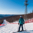 article22521.jpg - 59i.Ru