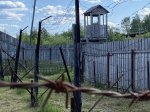 В Прикамье осужденного оштрафовали за демонстрацию нацистской символики