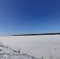 article22529.jpg - 59i.Ru
