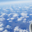 article22560.jpg - 59i.Ru