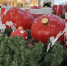 Цена праздника: сколько пермяки потратят на Новый год – 2026? - Business Class