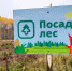 Посади лес - Новый Компаньон