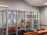 Ирина Чиркова в суде