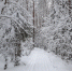 article22579.jpg - 59i.Ru