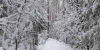 article22579.jpg - 59i.Ru