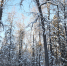 article22591.jpg - 59i.Ru