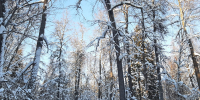 article22591.jpg - 59i.Ru