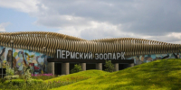В пермском зоопарке запускают забеги для любителей бега - VikiPerm.Com