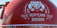 Строить по-крупному. Что произошло за год с большими проектами в Перми? - Business Class