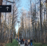 В пермских парках создадут фотозоны в советском стиле - V-Kurse.Ru