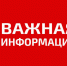 Претенденты на культурные гранты ЦРП, важная информация для вас! - Центр проектов