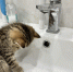 Водоснабжение отключено на нескольких улицах в Мотовилихинском районе - V-Kurse.Ru