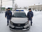 В Пермском крае росгвардейцы задержали хулигана