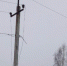 В Прикамье выявили почти 150 тысяч незаконных подвесов оптики на опорах ЛЭП - Ветта