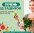 Защити свою печень – откажись от вредных привычек - Министерство здравоохранения