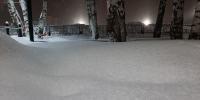 article22684.jpg - 59i.Ru
