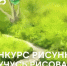 Конкурс «Я УЧУСЬ РИСОВАТЬ» - ПГСХА
