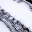 article22705.jpg - 59i.Ru