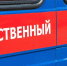 В Прикамье возбудили уголовное дело после нападения собаки на ребёнка - Ветта