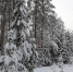 article22722.jpg - 59i.Ru