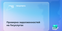 На Госуслугах можно узнать о долгах у судебных приставов - Министерство информразвития и связи