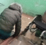инвалид - Новый Компаньон