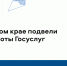 В Прикамье за 2025 год оказано более 6 млн услуг в электронном виде - Министерство информразвития и связи