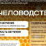 Курсы повышения квалификации по программе «Пчеловодство» - ПГСХА