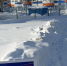img - ЛДПР