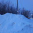 img - ЛДПР