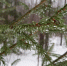 article22806.jpg - 59i.Ru