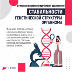 Весна — время укреплять иммунитет!