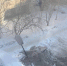 img - ЛДПР