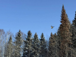 В Пермском крае завершился продолжительный период холодов